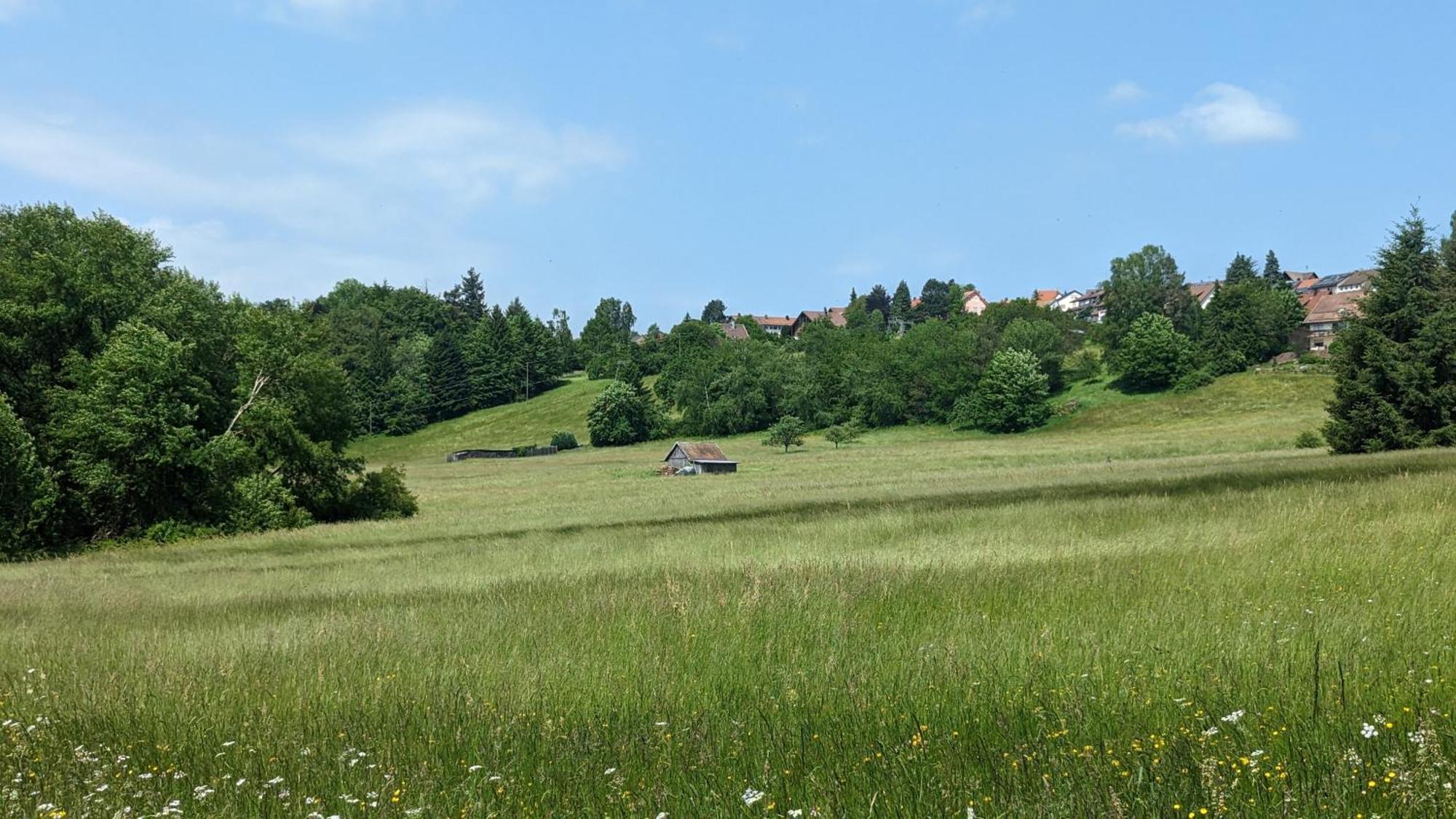 Waldhorn Dobel Apartment Екстериор снимка