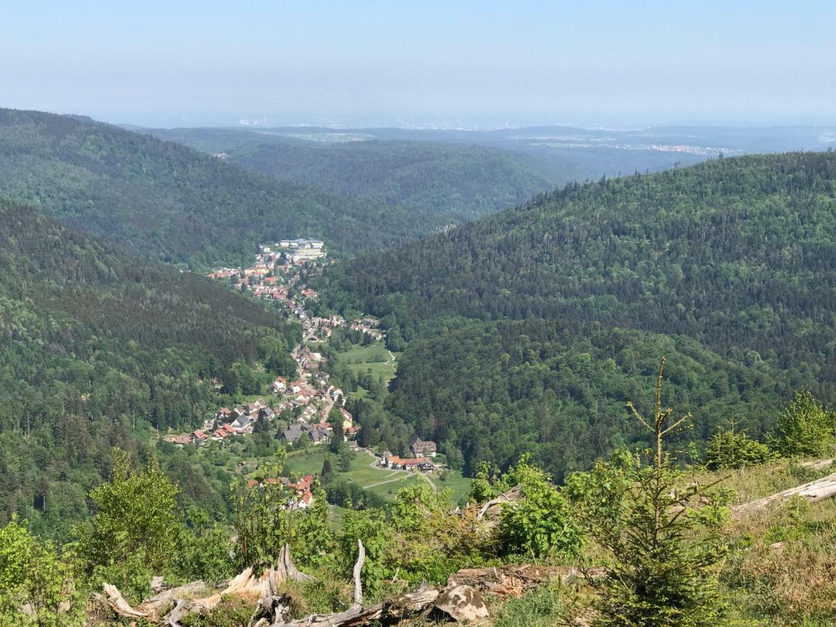 Waldhorn Dobel Apartment Екстериор снимка